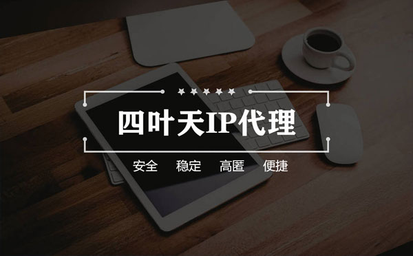 【九江代理IP】如何快速搭建代理IP？怎么检查代理的效果？